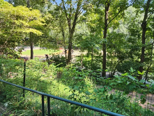 Best Hikes and Trails in Piedmont - EyJidWNrZXQiOiJhc3NldHMuYWxsdHJhaWxzLmNvbSIsImtleSI6InVwbG9hZHMvcGhvdG8vaW1hZ2UvNjQ1NzczMTYvMWQ3ZWE0NDcyMTQxNDVjODdkNmNkMjNkNWNhZDE5ZWEuanBnIiwiZWRpdHMiOnsidG9Gb3JtYXQiOiJ3ZWJwIiwicmVzaXplIjp7IndpZHRoIjo1MDAsImhlaWdodCI6NTAwLCJmaXQiOiJpbnNpZGUifSwicm90YXRlIjpudWxsLCJqcGVnIjp7InRyZWxsaXNRdWFudGlzYXRpb24iOnRydWUsIm92ZXJzaG9vdERlcmluZ2luZyI6dHJ1ZSwib3B0aW1pc2VTY2FucyI6dHJ1ZSwicXVhbnRpc2F0aW9uVGFibGUiOjN9fX0=