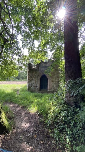 Niester Riesen P11 (Premiumwanderweg)