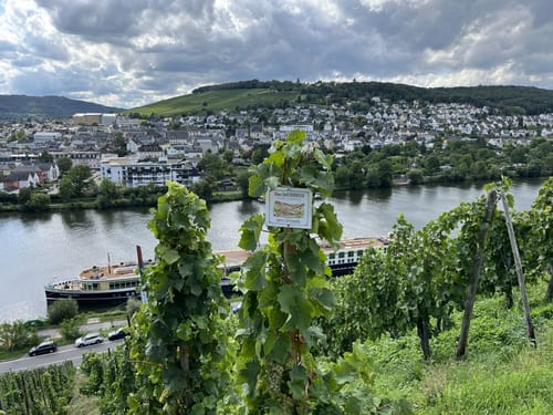 Bernkasteler Wein-Erlebnispfad