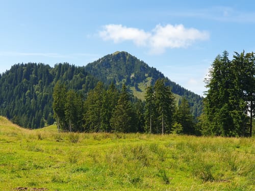 Aueralm Rundweg