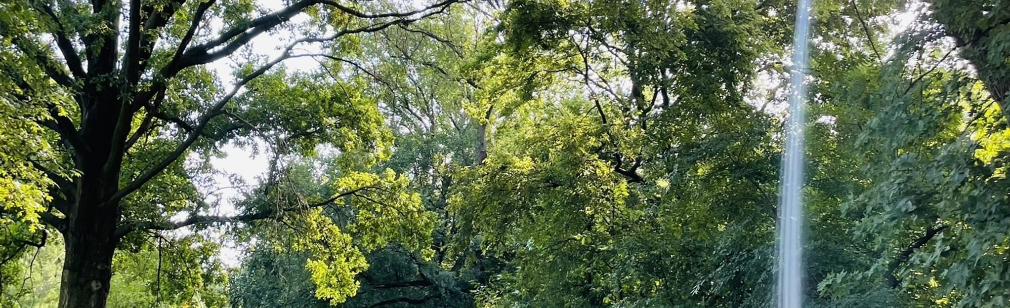 Memorial and Elmwood Park Trails, Nebraska 198 Reviews, Map AllTrails