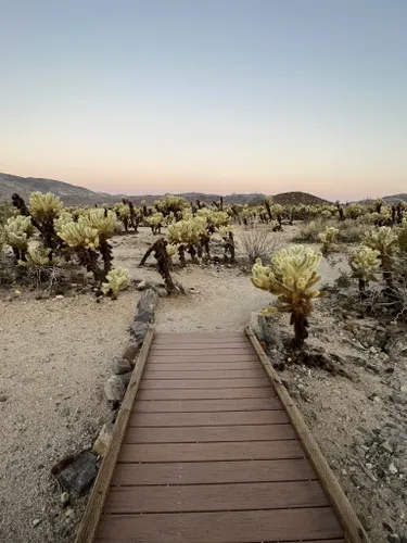 2023 Best Partially Paved Trails In Twentynine Palms | AllTrails