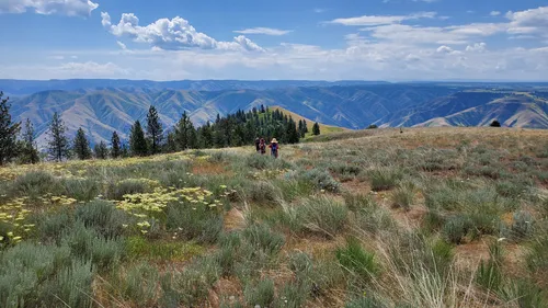 Best Hikes and Trails in Fields Spring State Park | AllTrails
