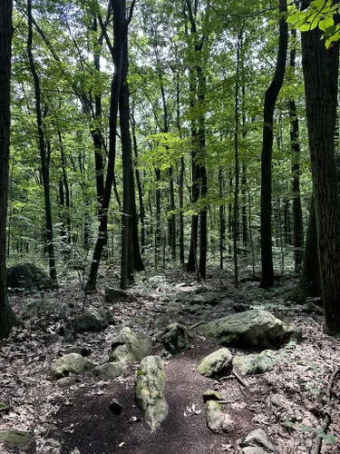 Best Hikes and Trails in Veterans Park - Roxbury Township | AllTrails