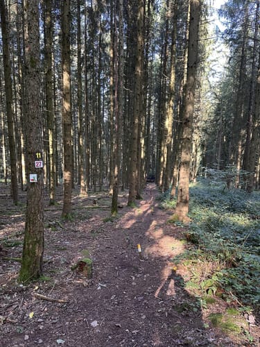 Biberpfad (Premiumwanderweg)