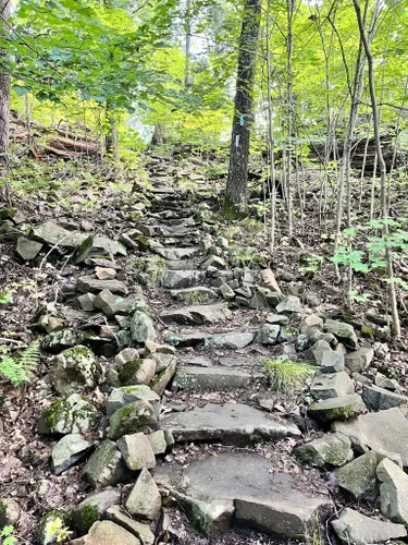 2023 Best Lake Trails in East Granby | AllTrails