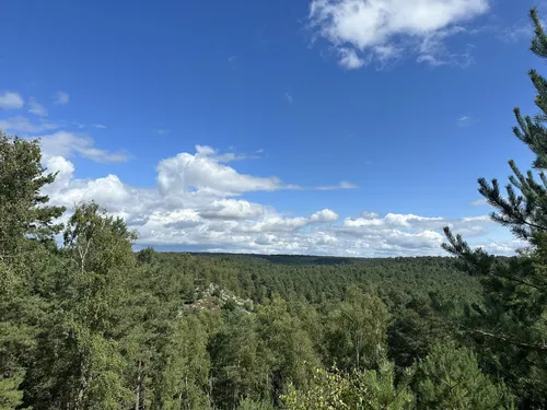 10 Best forest trails in Fontainebleau | AllTrails
