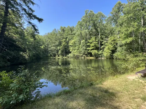 10 Best Hikes and Trails in Gorges State Park | AllTrails