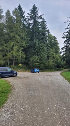 Ortswanderweg "Wildschwein" am Gehrenberg