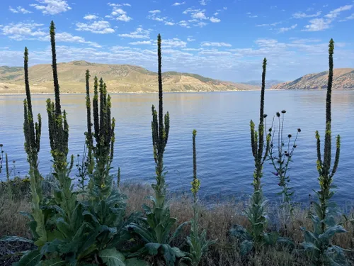 Utah's Historic Union Pacific Rail Trail State Park: Hall of Fame Trails