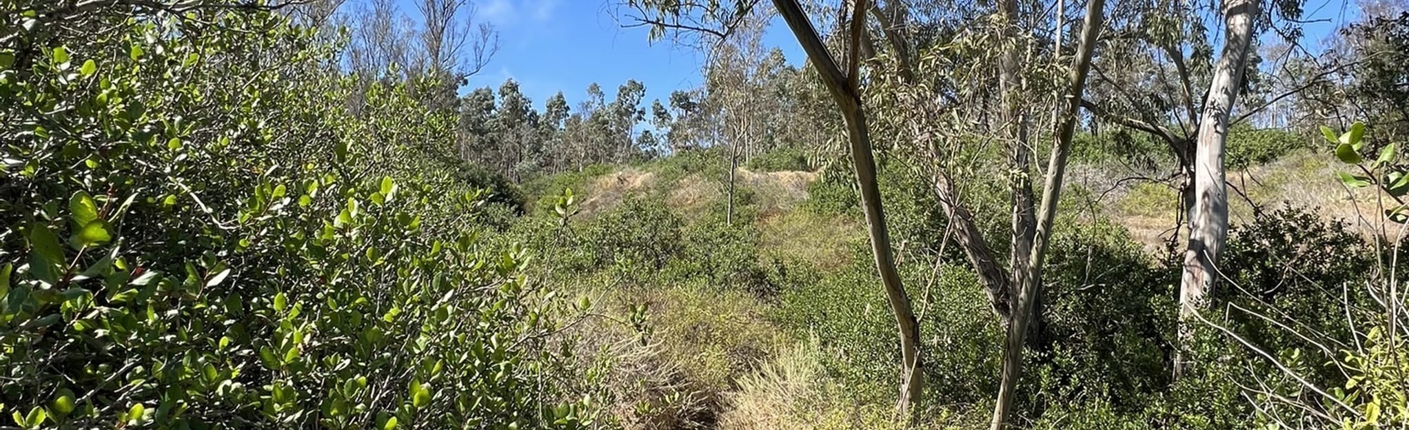 Black Canyon Trail 395 Reviews - EyJidWNrZXQiOiJhc3NldHMuYWxsdHJhaWxzLmNvbSIsImtleSI6InVwbG9hZHMvcGhvdG8vaW1hZ2UvNjQ2MTg0MTcvNWQ5MWMwNDU1MWEzZmRlZGRkYzcyZmNkYmIyZDdiYzguanBnIiwiZWRpdHMiOnsidG9Gb3JtYXQiOiJqcGVnIiwicmVzaXplIjp7IndpZHRoIjoyMDQ0LCJoZWlnaHQiOjYyNCwiZml0IjoiY292ZXIifSwicm90YXRlIjpudWxsLCJqcGVnIjp7InRyZWxsaXNRdWFudGlzYXRpb24iOnRydWUsIm92ZXJzaG9vdERlcmluZ2luZyI6dHJ1ZSwib3B0aW1pc2VTY2FucyI6dHJ1ZSwicXVhbnRpc2F0aW9uVGFibGUiOjN9fX0=