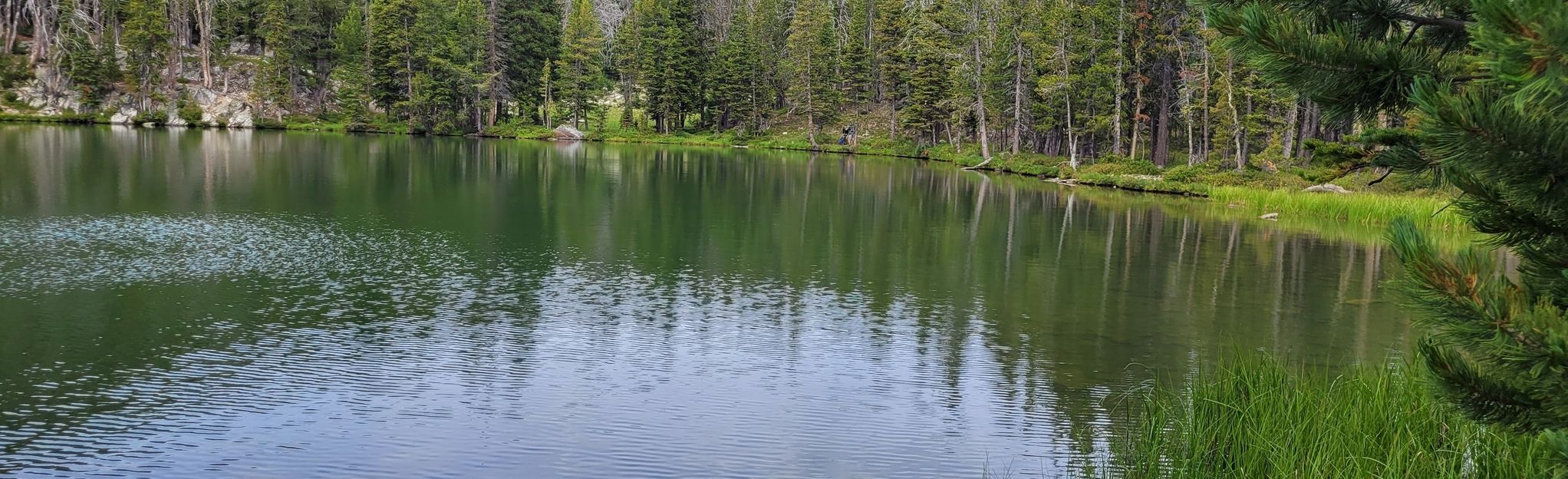 Golden Trout Lakes Trail, Montana - 138 Reviews, Map | AllTrails