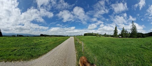Brombergalm und Panoramaweg