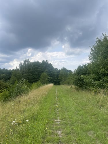 Mechower und Lankower See