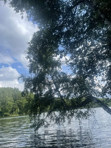 Mechower und Lankower See