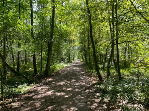 Megamarsch Düsseldorf 2019