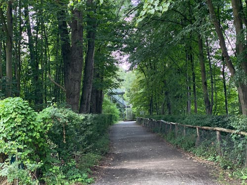 Megamarsch Düsseldorf 2019