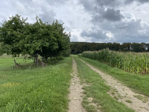 Villa-Borg-Trail (Traumschleifchen)