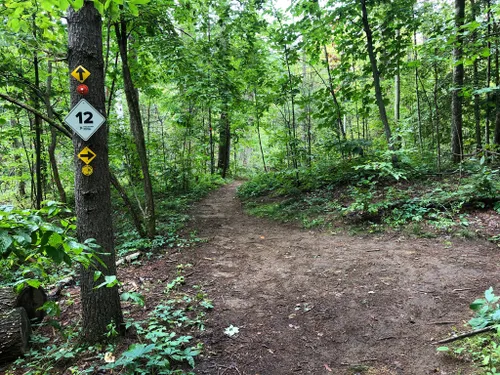 2023 Best Easy Trails In Moreau Lake State Park Alltrails