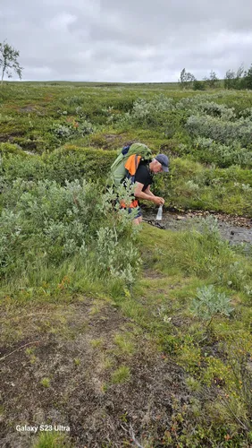 ultevis-fj-llurskog-naturreservat-de-beste-routes-om-te-wandelen
