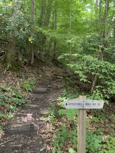 Best River Trails in Otter Creek Wildlife Management Area | AllTrails