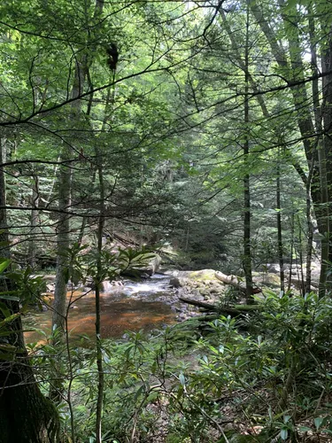 Best River Trails in Otter Creek Wildlife Management Area | AllTrails