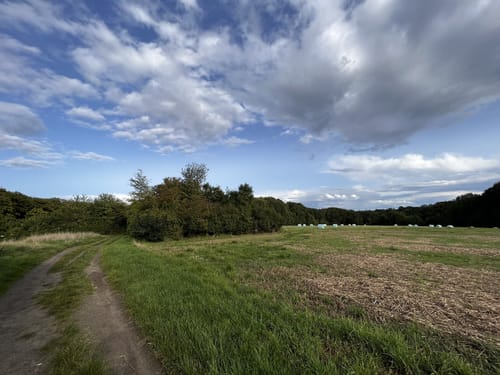 Gerresheim: Rotthäuser Bachtal