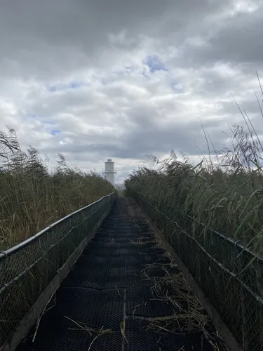 Moth trapping - Newport Wetlands - Newport Wetlands - The RSPB