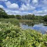 Minuteman Bikeway Trail Massachusetts - EyJidWNrZXQiOiJhc3NldHMuYWxsdHJhaWxzLmNvbSIsImtleSI6InVwbG9hZHMvcGhvdG8vaW1hZ2UvNjQ2Njg1MTUvNDY3YjU3YWMyMmVlYzc1ZmQ2MTEzYzFmYWE1MTY3YTEuanBnIiwiZWRpdHMiOnsidG9Gb3JtYXQiOiJqcGVnIiwicmVzaXplIjp7IndpZHRoIjoxNjAsImhlaWdodCI6MTYwLCJmaXQiOiJjb3ZlciJ9LCJyb3RhdGUiOm51bGwsImpwZWciOnsidHJlbGxpc1F1YW50aXNhdGlvbiI6dHJ1ZSwib3ZlcnNob290RGVyaW5naW5nIjp0cnVlLCJvcHRpbWlzZVNjYW5zIjp0cnVlLCJxdWFudGlzYXRpb25UYWJsZSI6M319fQ==