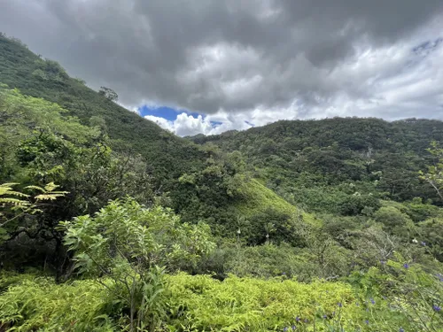 10 Best Trails and Hikes in Oahu