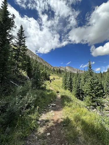 10 Best Trails and Hikes in Jefferson | AllTrails