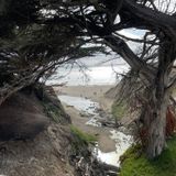 Half Moon Bay Coastal Trail, California - 1,206 Reviews, Map