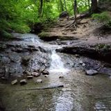 Parfrey's Glen Trail, Wisconsin - 973 Reviews, Map | AllTrails