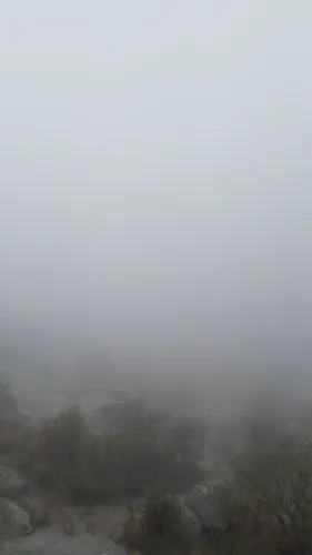 2023 Best Camping Trails in Villa Alpina AllTrails