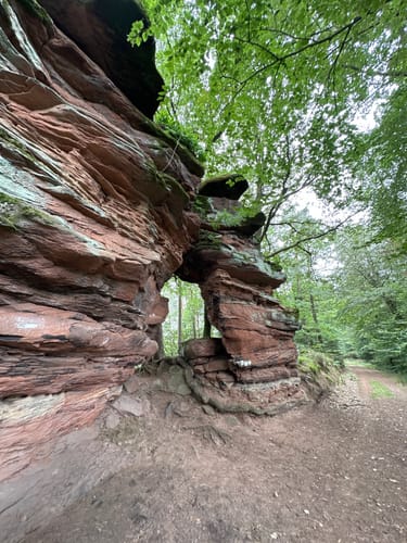 Silz - Naturparkrundweg 26