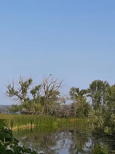 Lakeside Serenity: 5 Beautiful Hiking Trails in Ashland – Wisconsin