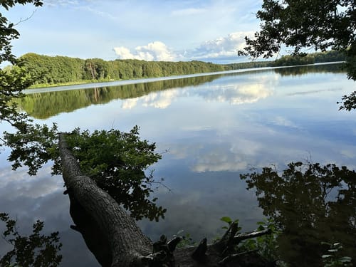 Rund um den Drüsensee