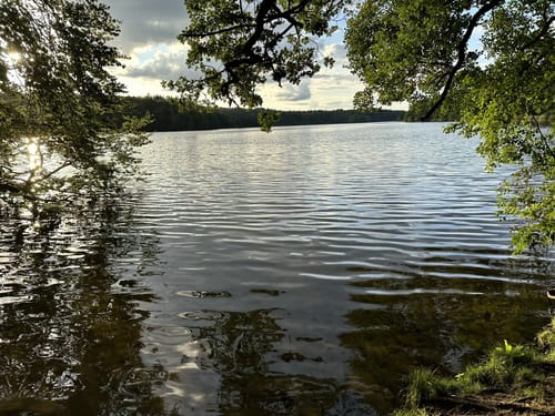 Rund um den Drüsensee
