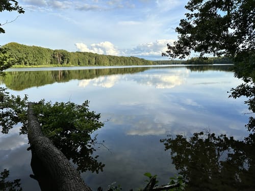 Rund um den Drüsensee