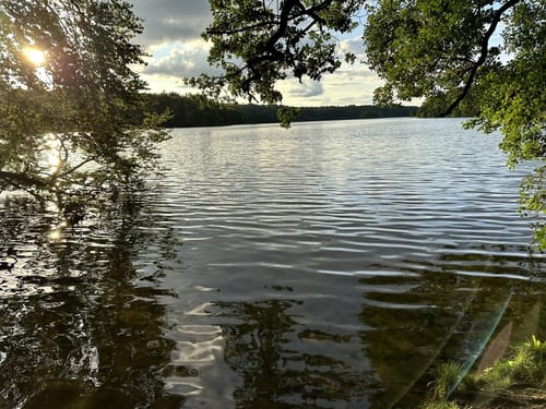 Rund um den Drüsensee