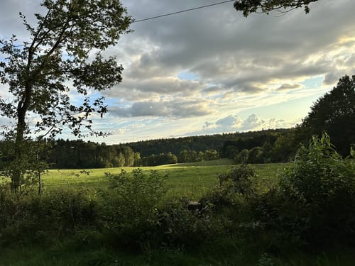 Rund um den Drüsensee