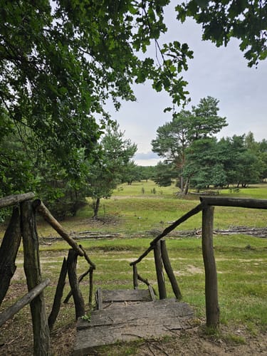Im Wildgehege Glauer Tal