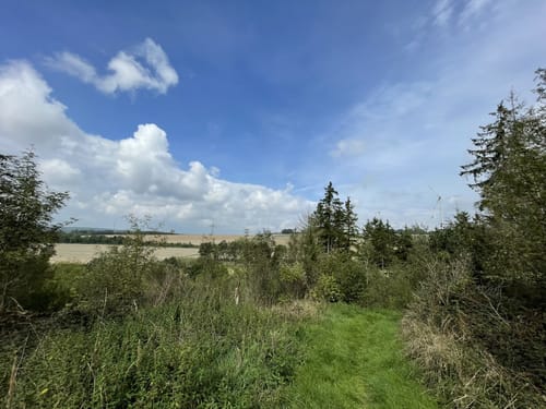 Karrenberg (Premiumwanderweg)