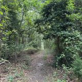 Songbird Trail Loop, New Jersey - 620 Reviews, Map 