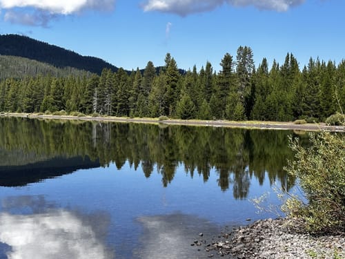 Delacy shop creek trail