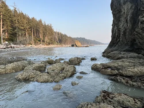 Alltrails olympic shop national park