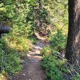 Three falls clearance trail manning park