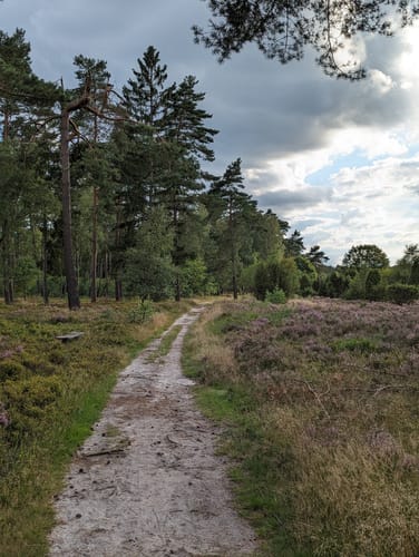 Lüneburger Heide - Runde
