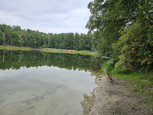 Um den Großen Lienewitzsee