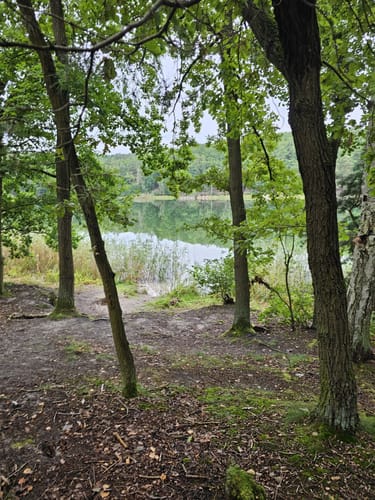 Um den Großen Lienewitzsee